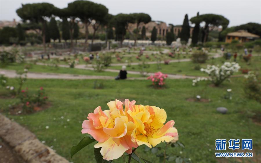 (國際疫情)(7)意大利將于6月初開放與申根區(qū)國家間人員流動(dòng)