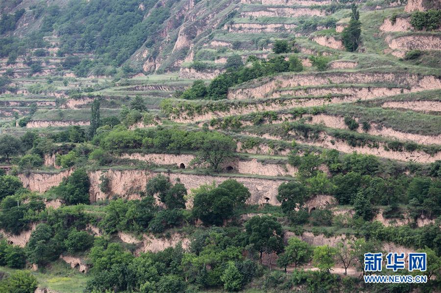 (決戰(zhàn)決勝脫貧攻堅(jiān)·圖文互動(dòng))(5)魚漁兼授 志智雙扶——窮溝溝“菜富記”