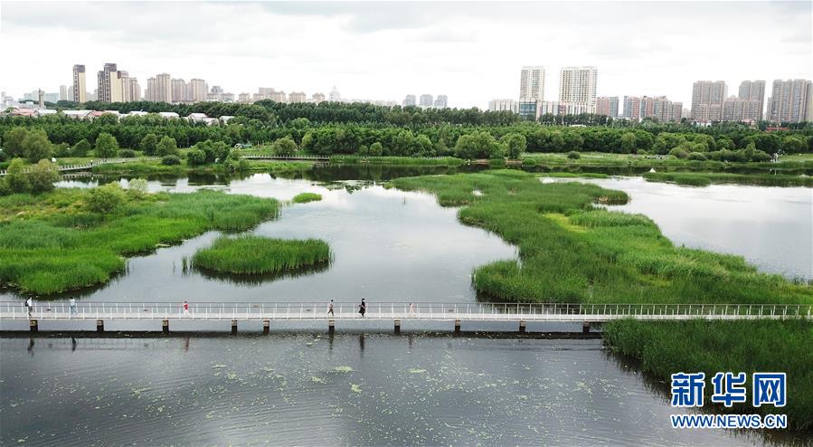（走向我們的小康生活·圖文互動）（1）水清、地綠、空氣新——最北省份黑龍江繪就生態(tài)治理新畫卷