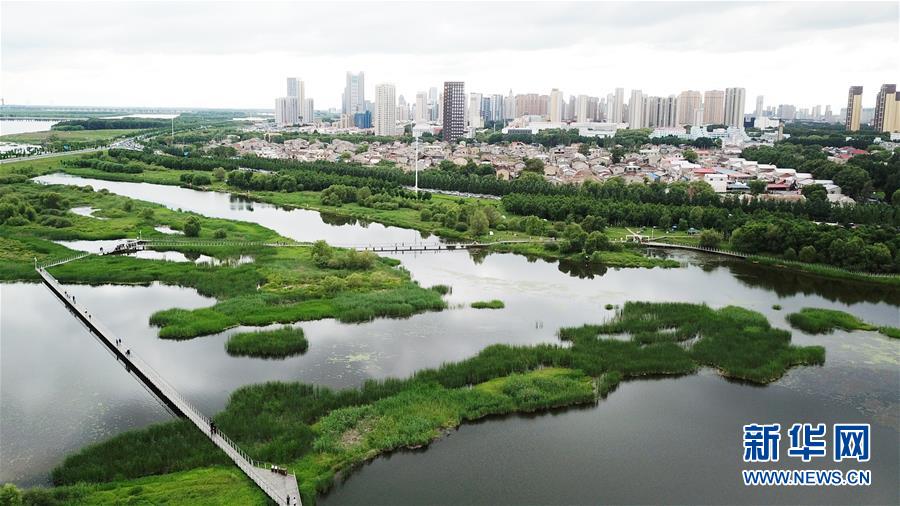 （走向我們的小康生活·圖文互動）（2）水清、地綠、空氣新——最北省份黑龍江繪就生態(tài)治理新畫卷