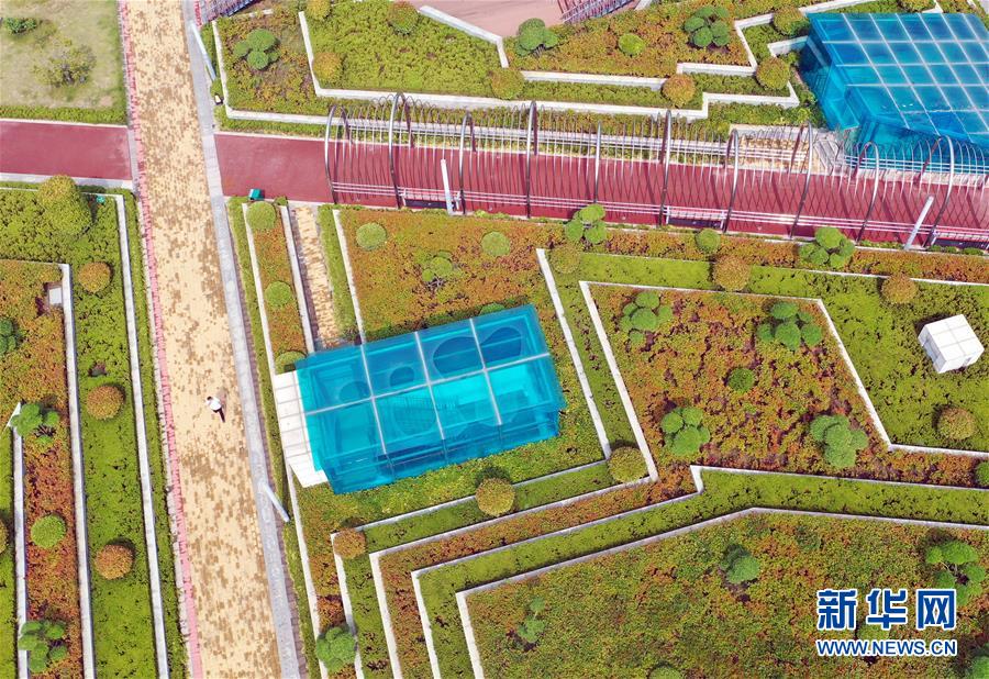 (走向我們的小康生活·圖文互動(dòng))(2)15分鐘“圈”出美好生活