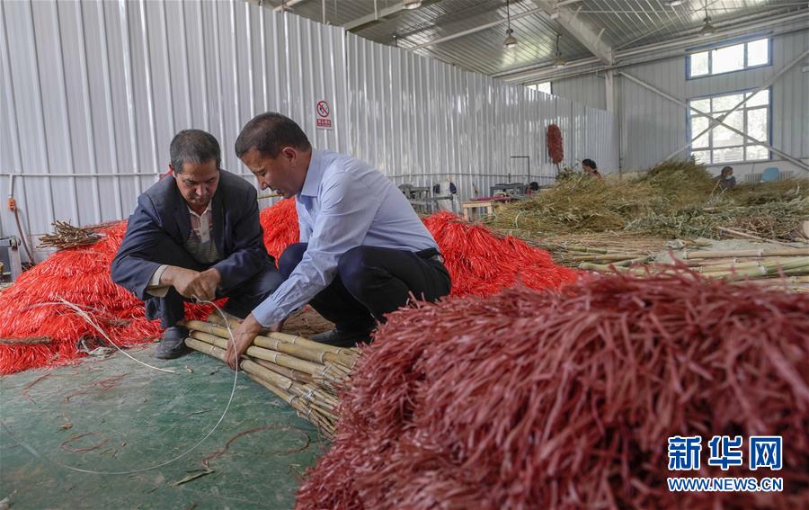 (決戰(zhàn)決勝脫貧攻堅(jiān)·圖文互動(dòng))(6)“掃”出脫貧路:南疆深貧村巧變“創(chuàng)業(yè)村”