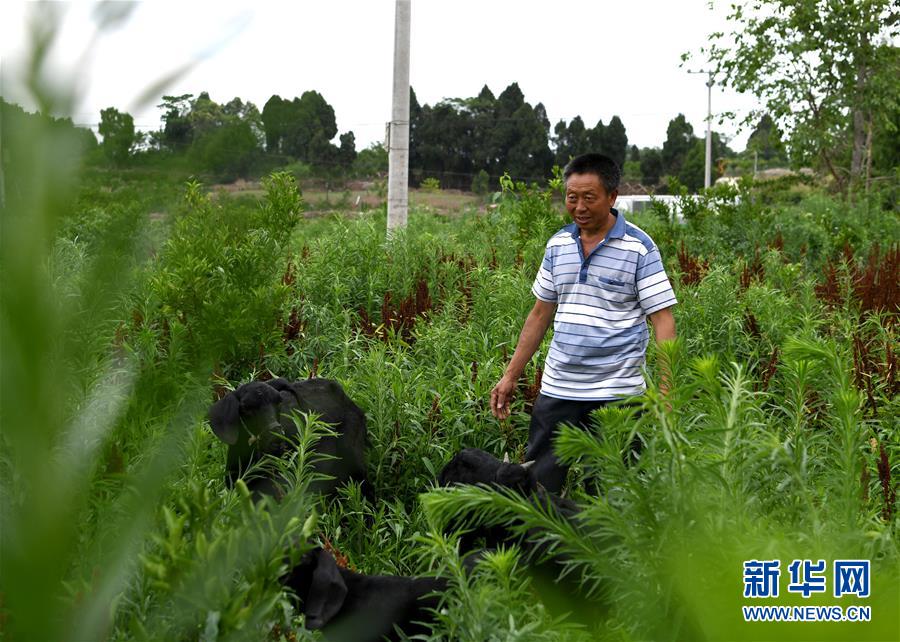 （走向我們的小康生活·圖文互動(dòng)）（3）擺擺幸福鄉(xiāng)村的新鮮事兒