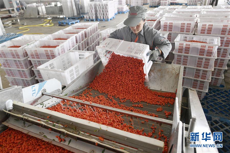 (走向我們的小康生活·圖文互動)(1)西海固換了新模樣