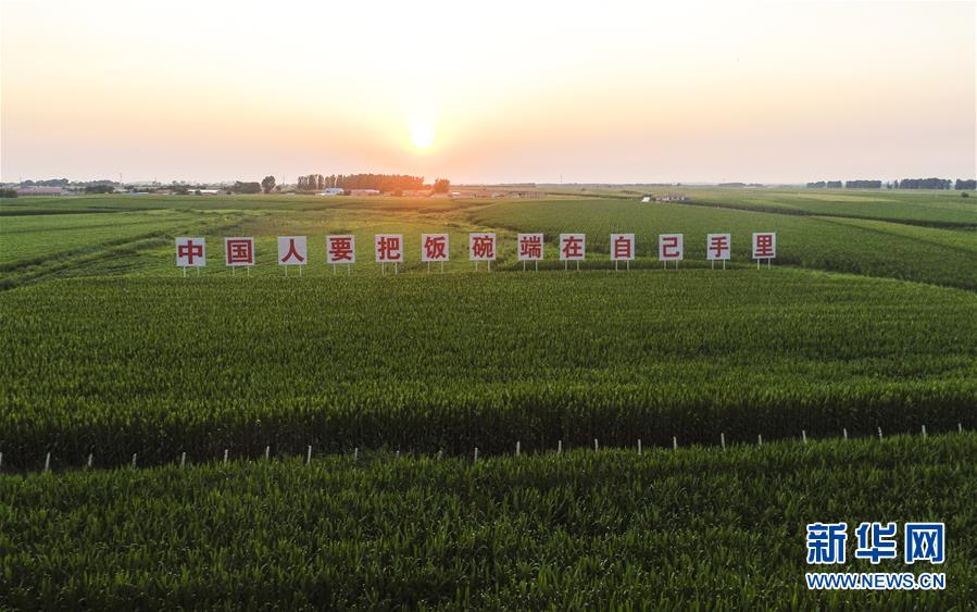(在習近平新時代中國特色社會主義思想指引下——新時代新作為新篇章·習近平總書記關(guān)切事·圖文互動)(1)讓百姓吃得飽還要吃得好——夯實糧食安全基礎(chǔ)端牢中國飯碗