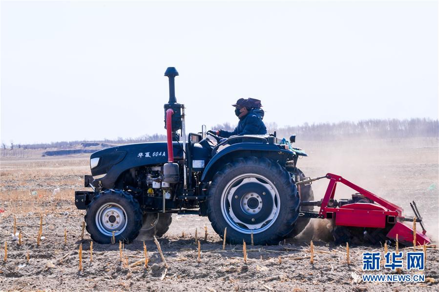(在習近平新時代中國特色社會主義思想指引下——新時代新作為新篇章·習近平總書記關(guān)切事·圖文互動)(8)讓百姓吃得飽還要吃得好——夯實糧食安全基礎(chǔ)端牢中國飯碗