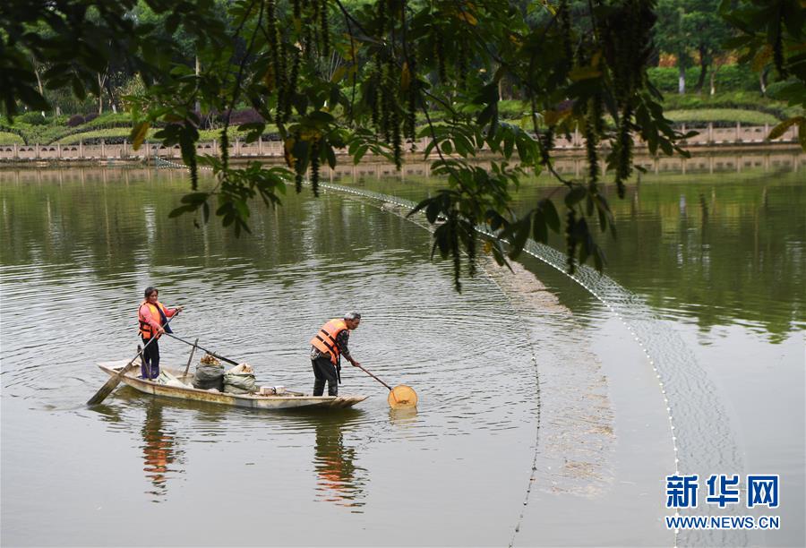 (長江經(jīng)濟帶·圖文互動)(3)李代國再下河