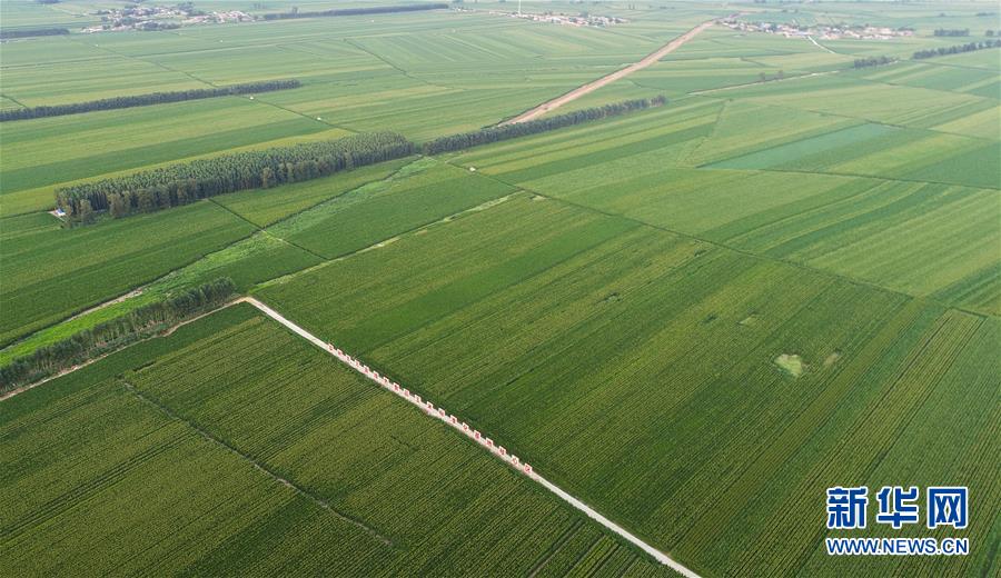 （在習(xí)近平新時代中國特色社會主義思想指引下——新時代新作為新篇章·習(xí)近平總書記關(guān)切事·圖文互動）（2）為黑土加“油”——“耕地中的大熊貓”，我們這樣保護