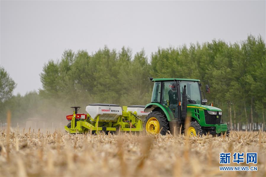 （在習(xí)近平新時代中國特色社會主義思想指引下——新時代新作為新篇章·習(xí)近平總書記關(guān)切事·圖文互動）（7）為黑土加“油”——“耕地中的大熊貓”，我們這樣保護