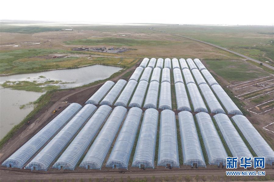 (決戰(zhàn)決勝脫貧攻堅(jiān)·圖文互動(dòng))(2)幸福村的幸福“菜”事