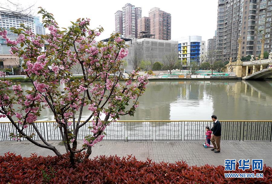 （新華全媒頭條·走向我們的小康生活·圖文互動）（12）城市，讓人民生活更美好