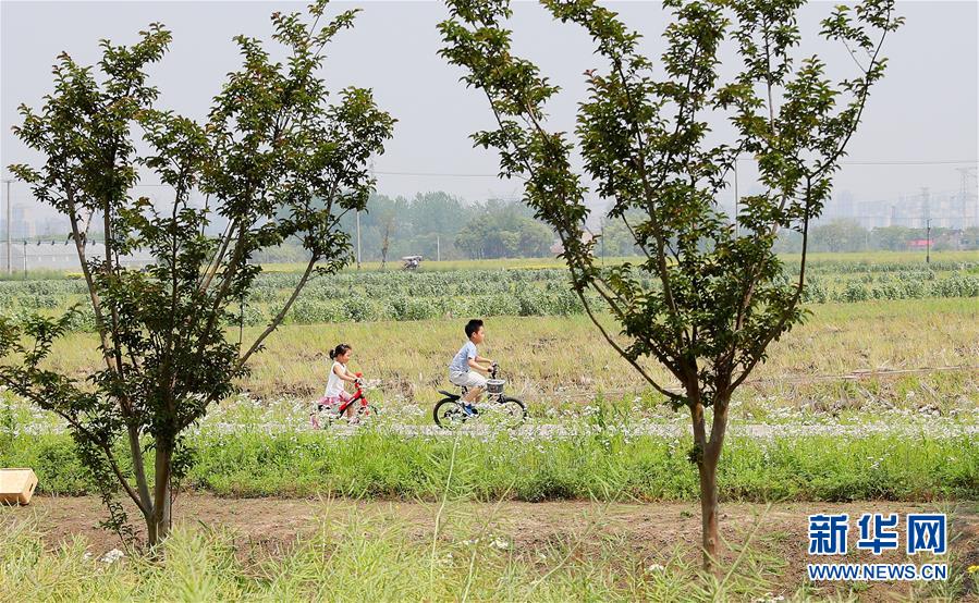 （新華全媒頭條·走向我們的小康生活·圖文互動）（14）城市，讓人民生活更美好