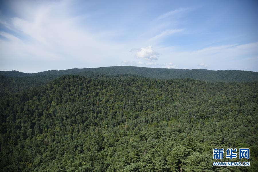 (鄉(xiāng)村振興·圖文互動)守護小興安嶺的“綠色明珠”