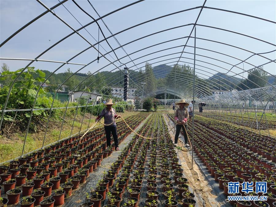 （決戰(zhàn)決勝脫貧攻堅·圖文互動）（3）安居樂業(yè)并重，搬遷脫貧同步——湖北88萬搬遷群眾脫貧觀察 
