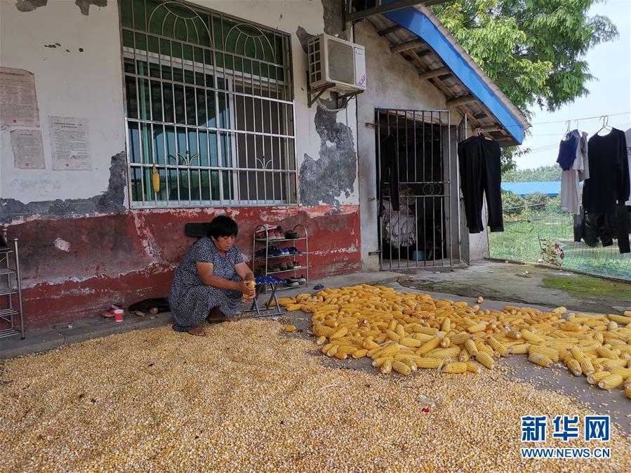 （新華視點(diǎn)·聚焦餐桌外的浪費(fèi)·圖文互動(dòng)）（3）農(nóng)戶儲(chǔ)糧損失達(dá)8%！設(shè)施普遍簡(jiǎn)陋，蟲害霉變堪憂