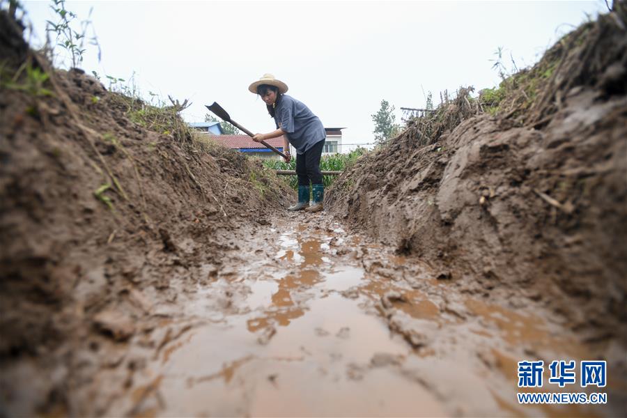 (新華全媒頭條·圖文互動(dòng))(5)“洪線”逆險(xiǎn)守家國(guó)——抗洪一線的凡人星光