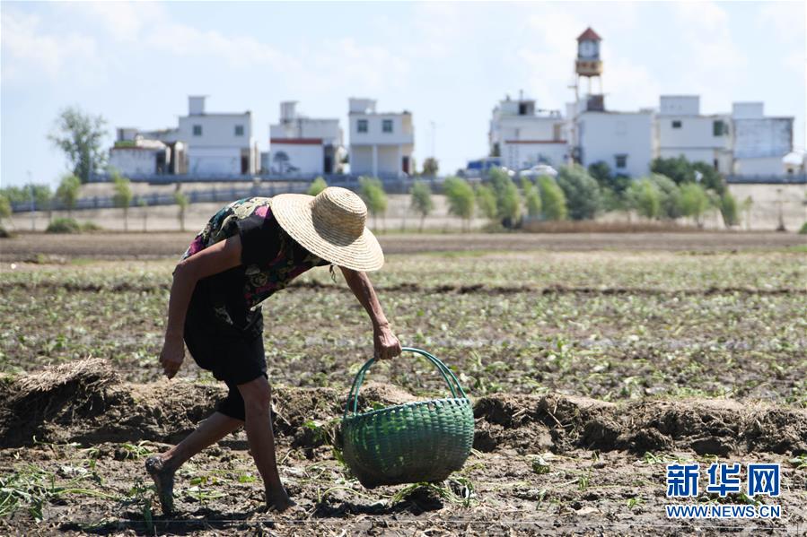 (在習近平新時代中國特色社會主義思想指引下——新時代新作為新篇章·習近平總書記關(guān)切事·圖文互動)(1)一切為了人民——寫在全國防汛救災(zāi)取得階段性重大勝利之時