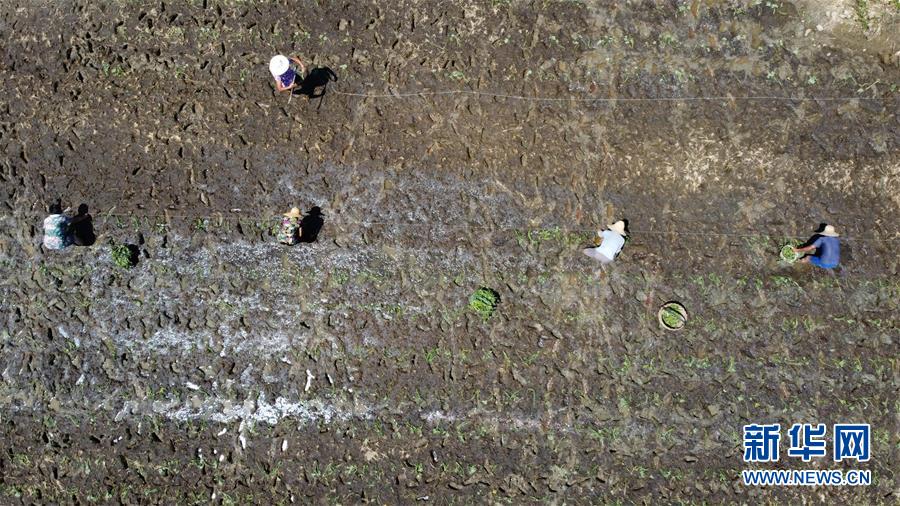 (在習近平新時代中國特色社會主義思想指引下——新時代新作為新篇章·習近平總書記關(guān)切事·圖文互動)(8)一切為了人民——寫在全國防汛救災(zāi)取得階段性重大勝利之時