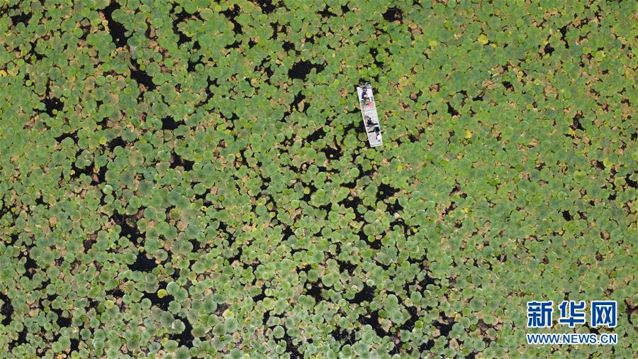 (在習近平新時代中國特色社會主義思想指引下——新時代新作為新篇章·習近平總書記關(guān)切事·圖文互動)(12)一切為了人民——寫在全國防汛救災(zāi)取得階段性重大勝利之時