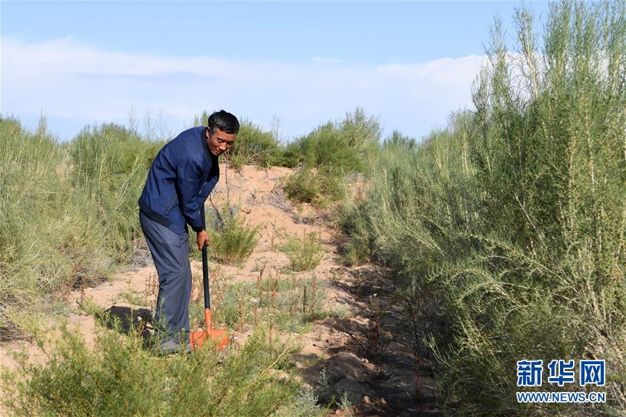 （新華全媒頭條·走向我們的小康生活·圖文互動）（8）“苦甲”不再，“甘味”綿長——脫貧攻堅(jiān)的甘肅味道