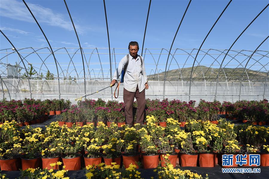 （新華全媒頭條·走向我們的小康生活·圖文互動）（10）“苦甲”不再，“甘味”綿長——脫貧攻堅(jiān)的甘肅味道