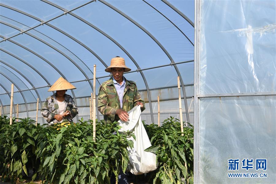 (走向我們的小康生活·圖文互動(dòng))(1)“荒涼”土地掘金記——甘肅旱作農(nóng)業(yè)發(fā)展“變奏曲”