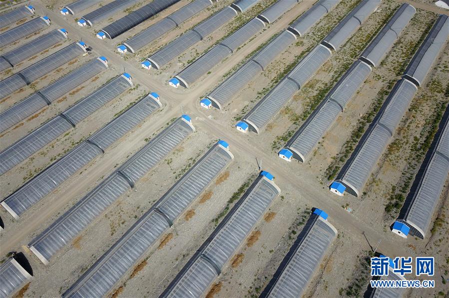 (走向我們的小康生活·圖文互動(dòng))(4)“荒涼”土地掘金記——甘肅旱作農(nóng)業(yè)發(fā)展“變奏曲”