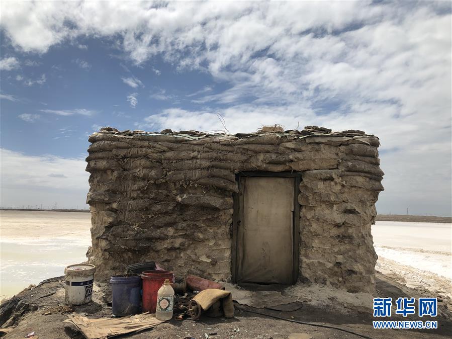 (走向我們的小康生活·決戰(zhàn)決勝脫貧攻堅(jiān)·圖文互動(dòng))(3)盆地里的生長