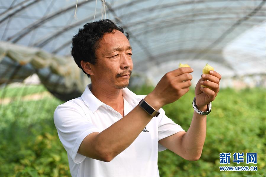 （新華全媒頭條·走向我們的小康生活·圖文互動）（7）黑土地上是我家——在吉林，一瞥中國東北鄉(xiāng)村美麗未來