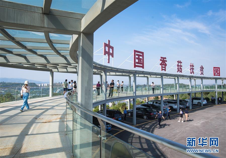 （新華全媒頭條·走向我們的小康生活·圖文互動(dòng)）（2）特殊之年，荊楚大地書寫不平凡的答卷