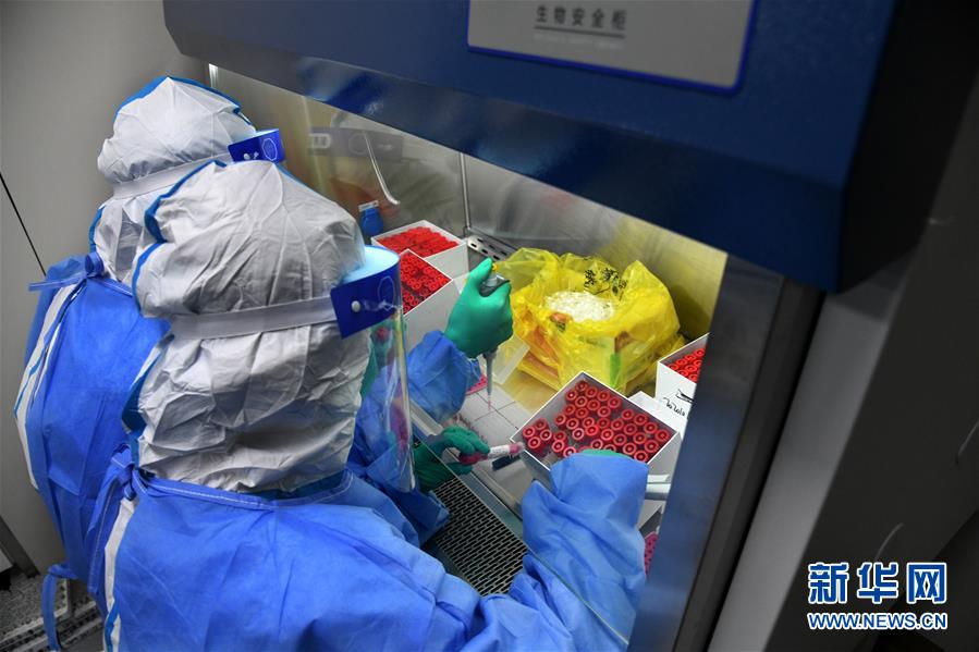 (聚焦疫情防控·圖文互動(dòng))(4)青島全員核酸檢測(cè)基本完成