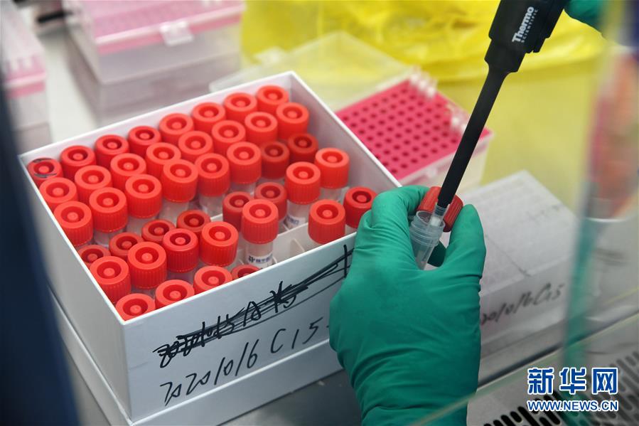 (聚焦疫情防控·圖文互動(dòng))(5)青島全員核酸檢測(cè)基本完成