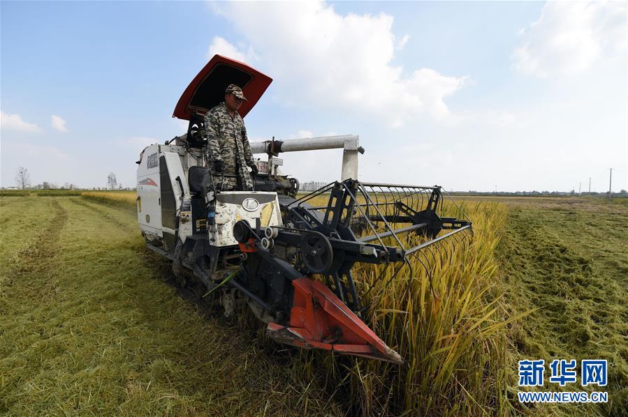 (新華全媒頭條·圖文互動(dòng))(7)長(zhǎng)淮新“斗水”記——寫在新中國(guó)治淮70年之時(shí)
