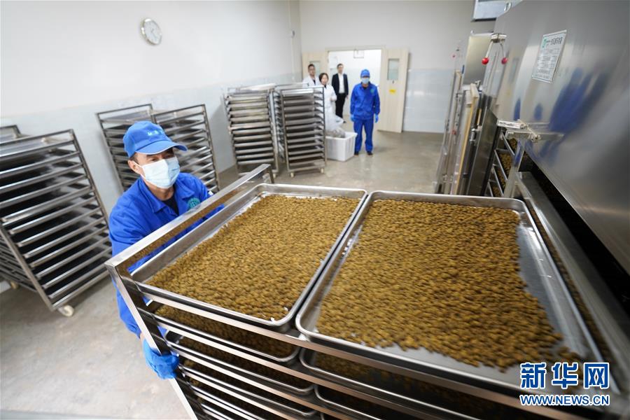 (決戰(zhàn)決勝脫貧攻堅·圖文互動)(3)重慶三峽庫區(qū)從“中華藥庫”里探尋脫貧致富“良方”