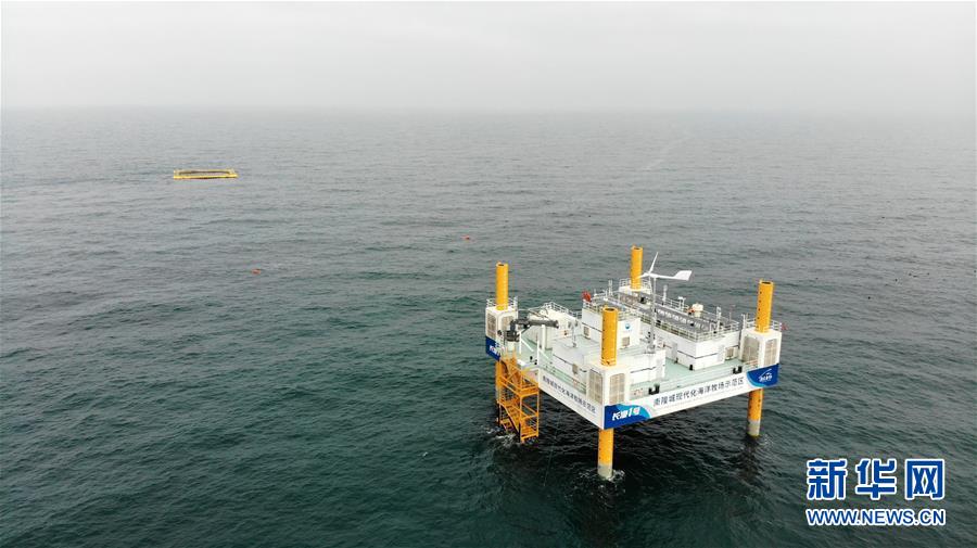 (新華全媒頭條·圖文互動(dòng))(10)“拔”海起牧場(chǎng) “耕”海新牧歌