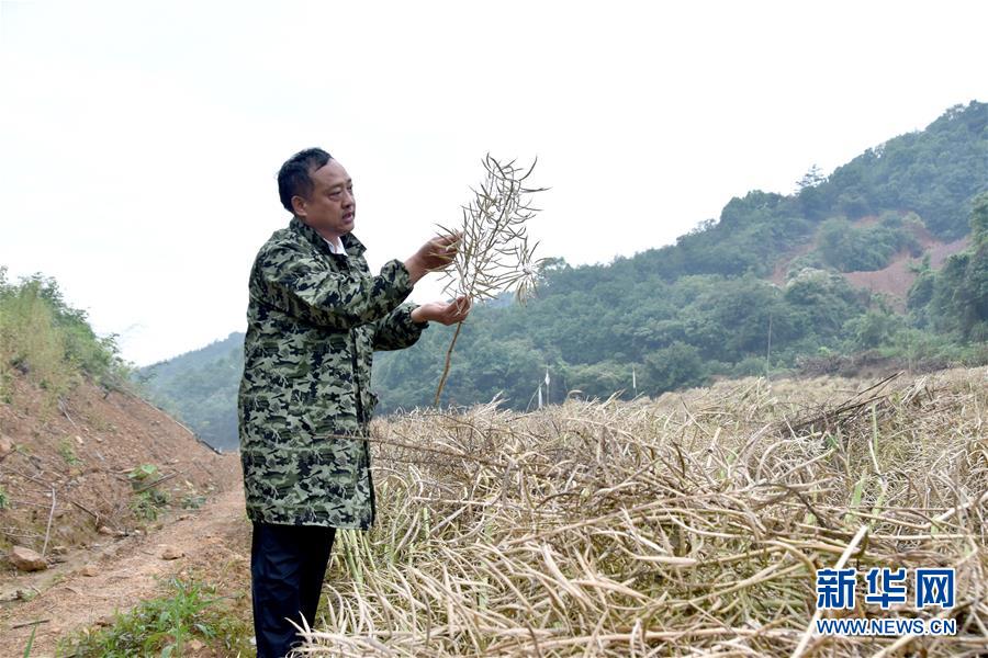 （代表委員履職·圖文互動(dòng)）（1）“我是農(nóng)民代表，始終關(guān)注農(nóng)村”——全國(guó)人大代表沈昌健的履職故事