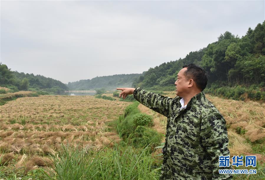 （代表委員履職·圖文互動(dòng)）（2）“我是農(nóng)民代表，始終關(guān)注農(nóng)村”——全國(guó)人大代表沈昌健的履職故事