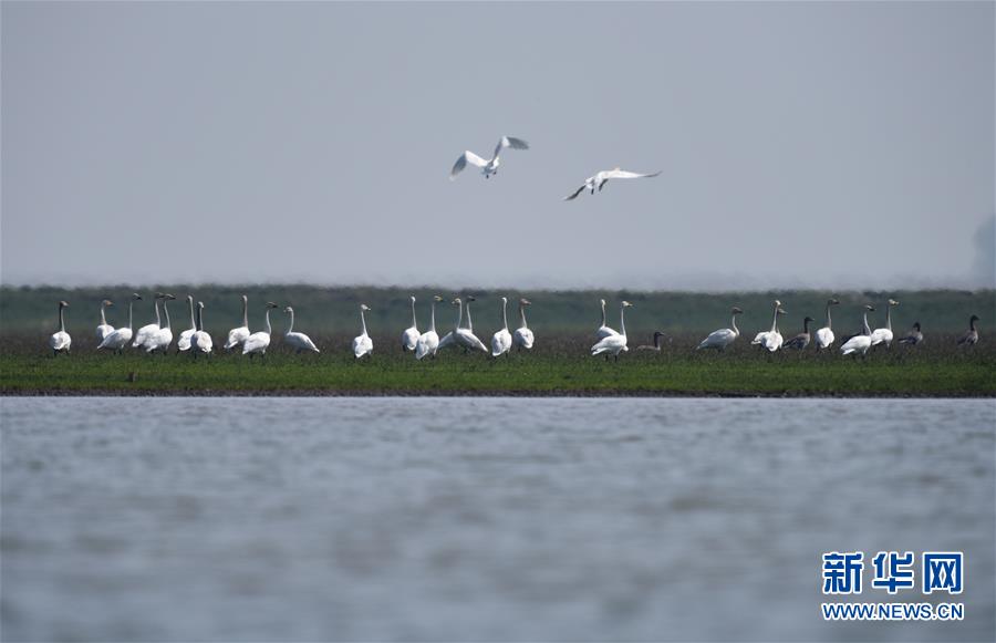 (新華全媒頭條·圖文互動(dòng))(11)潮起東方萬象新——以習(xí)近平同志為核心的黨中央團(tuán)結(jié)帶領(lǐng)全黨全軍全國各族人民貫徹落實(shí)黨的十九大精神紀(jì)實(shí)