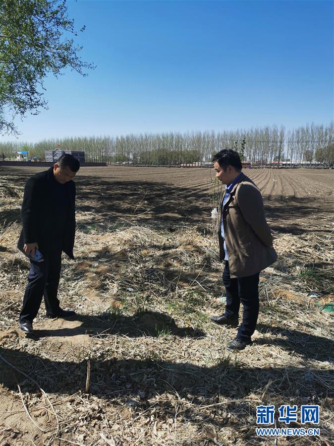 （在習近平新時代中國特色社會主義思想指引下——新時代新作為新篇章·習近平總書記關切事·圖文互動）（3）青春的顏色是什么？