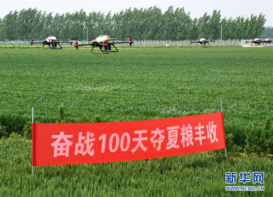 （在習(xí)近平新時代中國特色社會主義思想指引下——新時代新作為新篇章·習(xí)近平總書記關(guān)切事·圖文互動）（9）新農(nóng)事、新希望——夏收前田間新動態(tài)掃描