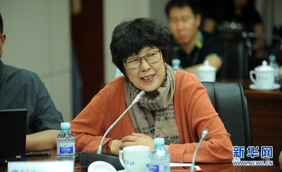 陳小波：新華人對歷史的擔當、情感與良知
