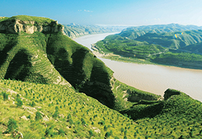 張建龍：“三北工程”實現(xiàn)生態(tài)、經(jīng)濟(jì)、社會效益“多贏”