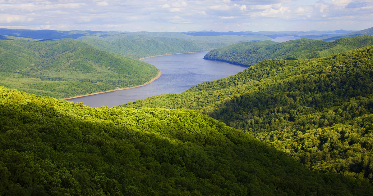 張建龍：“三北工程”實現(xiàn)生態(tài)、經(jīng)濟(jì)、社會效益“多贏”