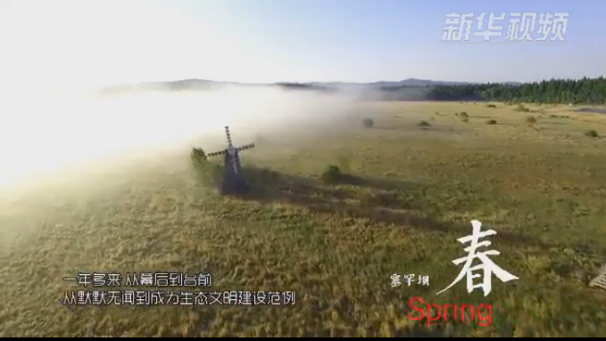 塞罕壩：那一抹綠色，走進越來越多人心里