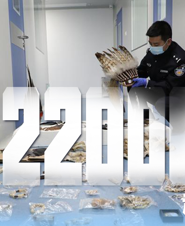 抗疫有“法”，就是這么給力！