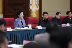 劉延東出席國務(wù)院學位委員會第三十三次會議并講話