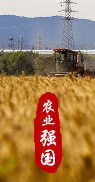 農(nóng)業(yè)強國是社會主義現(xiàn)代化強國的根基。