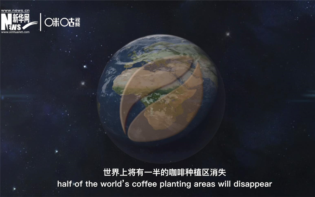 科學(xué)家預(yù)測(cè)到三十年后，世界上將有一半的咖啡種植區(qū)消失