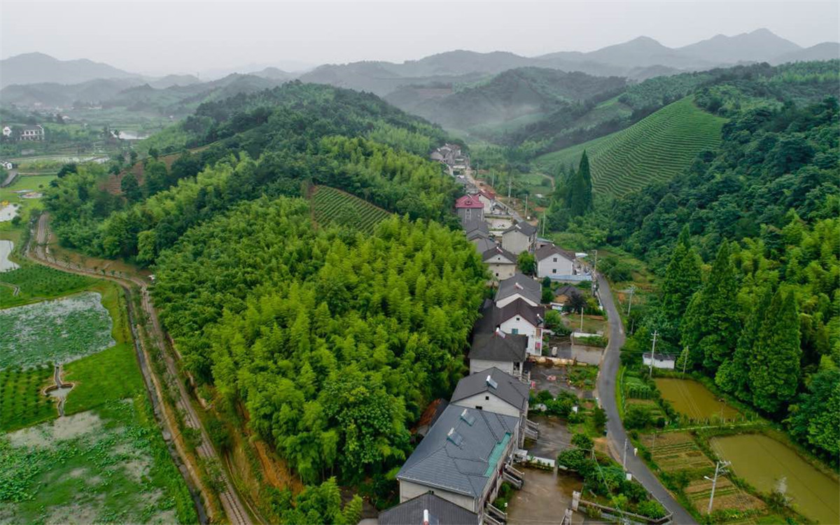從2003年起，浙江省開(kāi)展了“千村示范、萬(wàn)村整治”工程