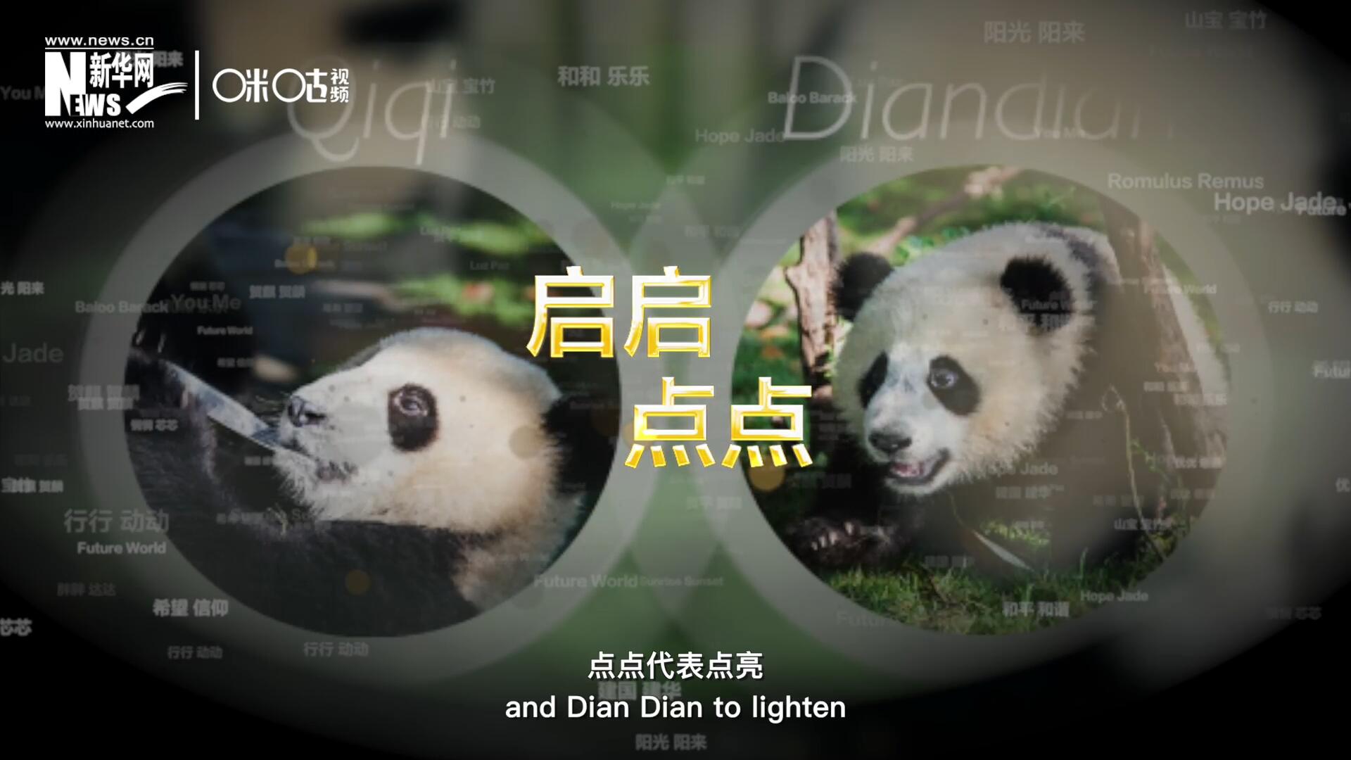 啟啟代表“啟發(fā)”，點(diǎn)點(diǎn)代表“點(diǎn)亮”，象征著2030年可持續(xù)發(fā)展議程 的“起點(diǎn)”，也象征著全球可持續(xù)發(fā)展路徑的新起點(diǎn)。